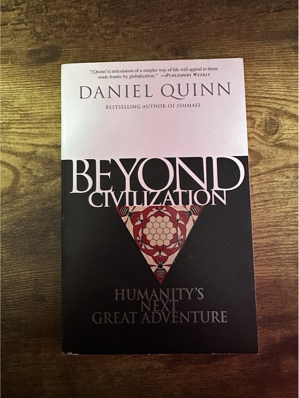 Beyond Civilization: Humanity's Next Great Adventure - Paperback - GOOD